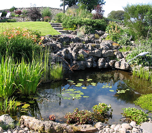 Landscaped pond